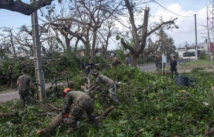 Cyclone Chido: the final toll could reach “a few thousand deaths” in Mayotte according to the prefect