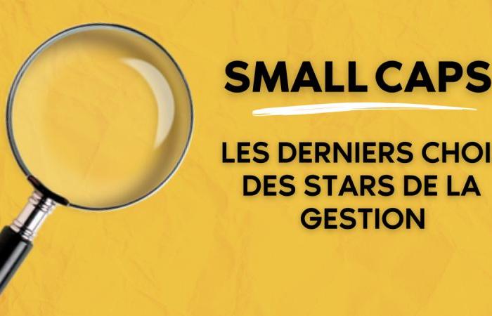 Small Caps: The latest choices of management stars