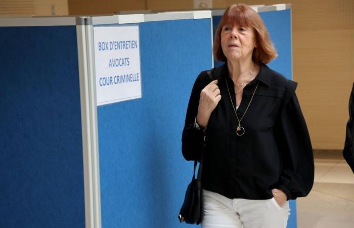 “Pardon Madame”… Around fifteen accused apologize to Gisèle Pelicot