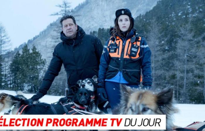 TV program: Hors Limites, At your side… what to watch on TV this evening?