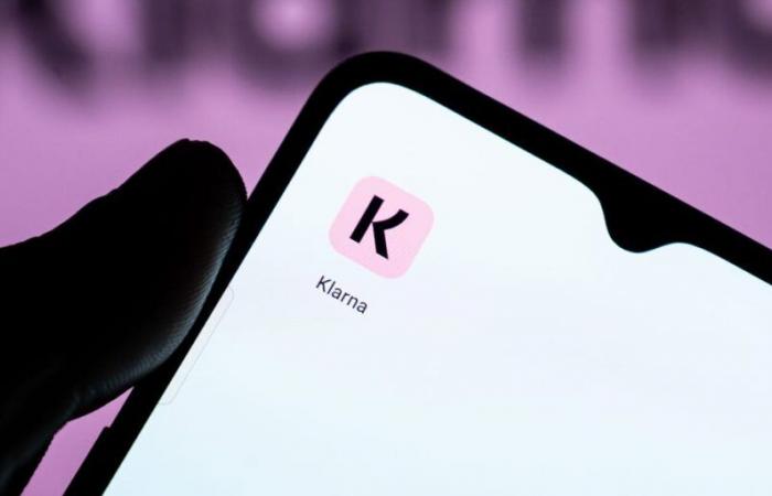 Klarna Stopped Hiring Because AI ‘Can Already Do All the Jobs,’ CEO Says