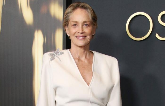 Sharon Stone (66 years old) at the height of elegance, she dazzles in a feathered suit with a plunging neckline