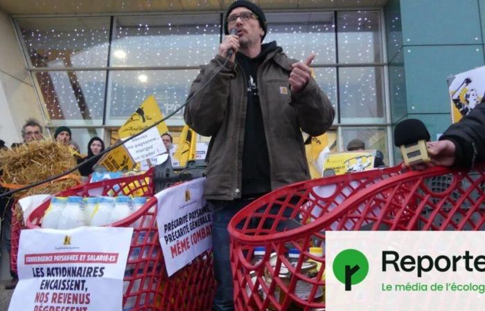 Against agro-industry, a “free shopping carts” operation in an Auchan hypermarket