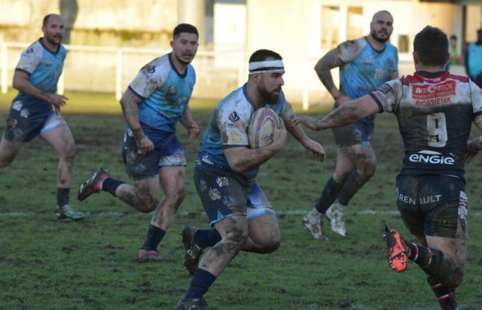 Super XIII: the Bears claw the Grizzlies