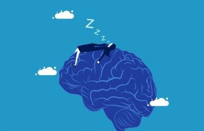 This is how sleep helps memory form