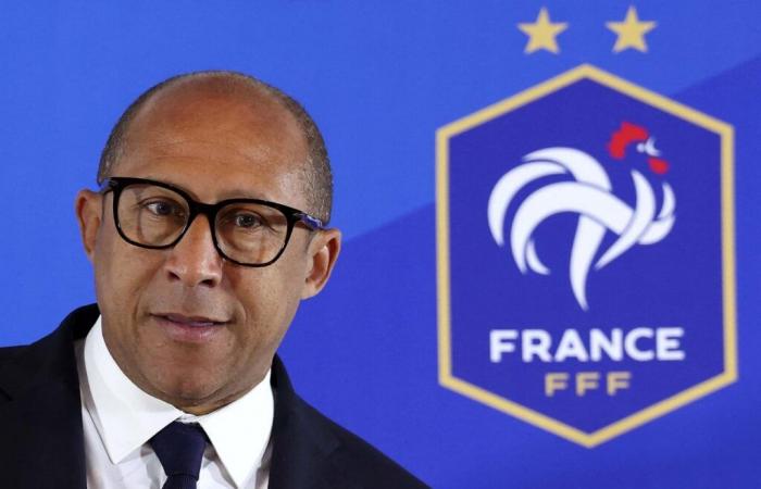 “Can French professional football be saved by those responsible for its situation? »