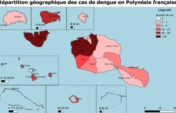 The dengue epidemic is progressing in fenua • TNTV Tahiti Nui Télévision