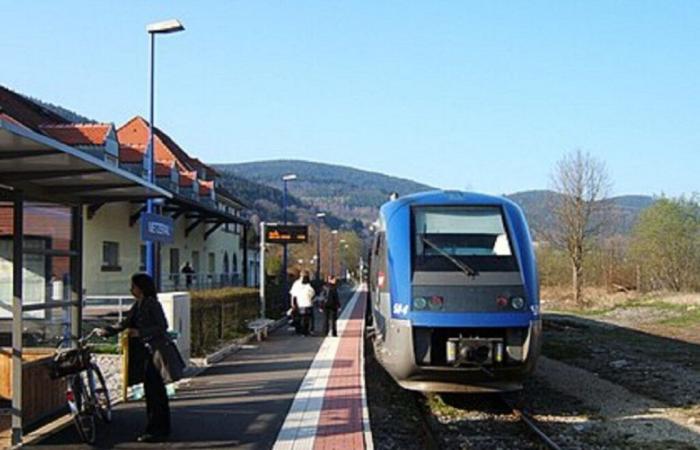 SNCF increases the number of journeys per day on this Haut-Rhin line