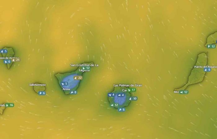 The AEMET announces for the Canary Islands the possibility of severe haze and a new DANA | Canariasenred