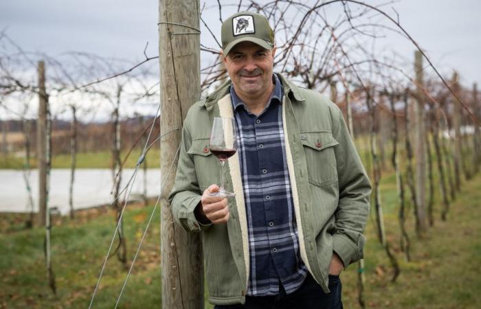 Regeneration viticulture | Wines that are more than organic