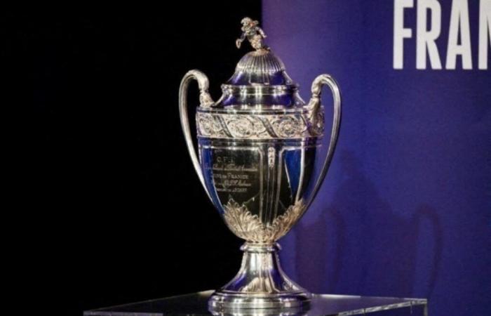 French Cup. The real competition trophy displayed in a supermarket, near Toulouse