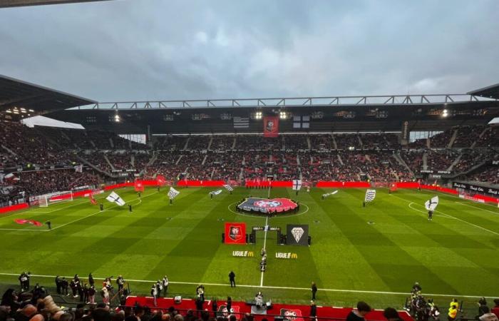 Stade Rennais – Angers: Quickly, the rest!