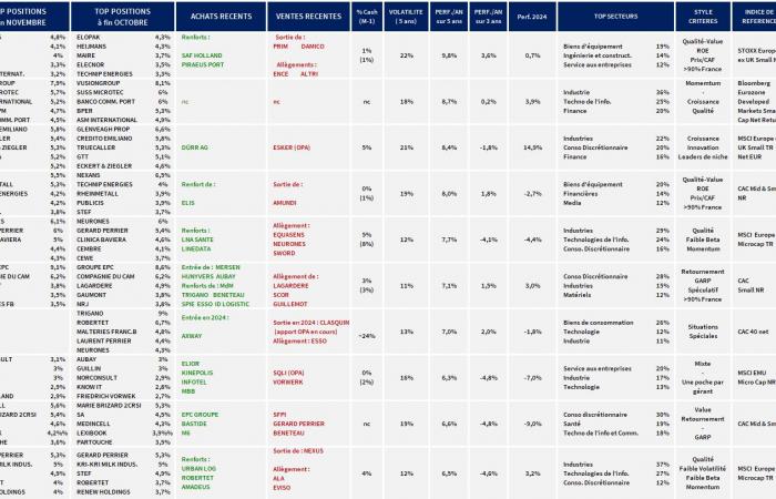 Small Caps: The latest choices of management stars