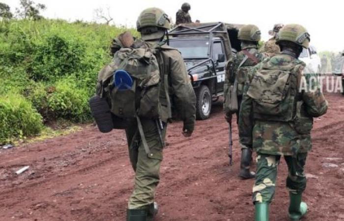 DRC: the M23 reaches Alimbongo, the FARDC’s major barrier since the start of the ceasefire