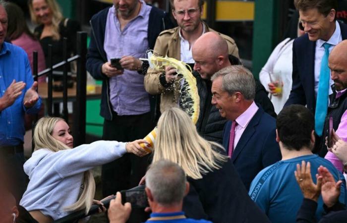 Nigel Farage: suspended sentence for milkshake attack