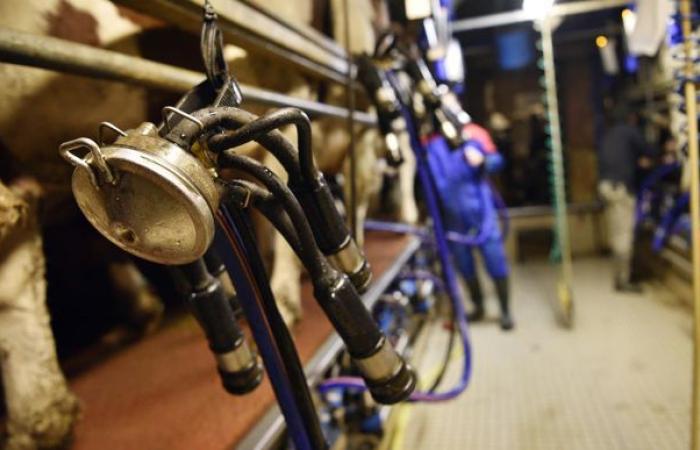 Price floors could improve farmers' remuneration