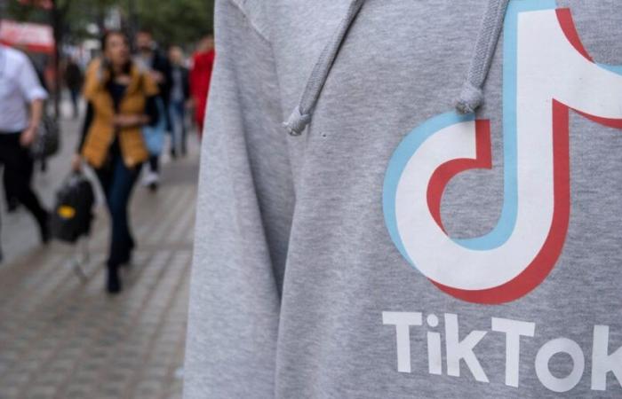 TikTok Overtakes Shein, Sephora Among US Online Shoppers, Report Says