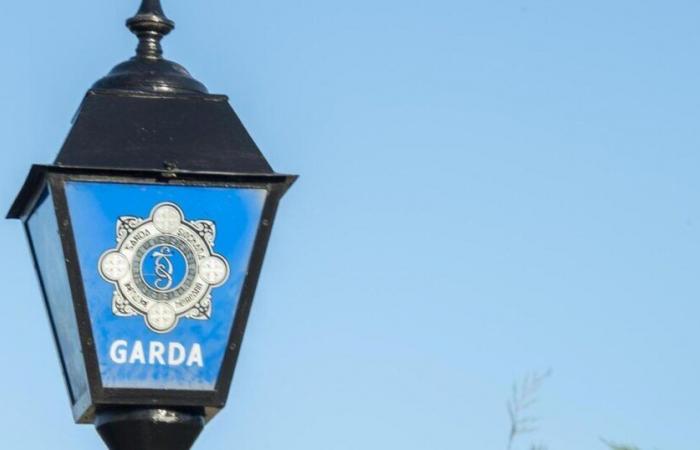 Cork man in row with neighbour tried to kick out at gardaí