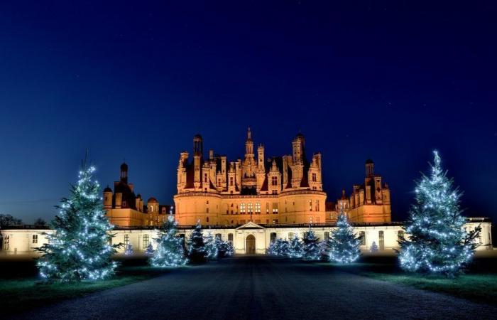 Jean-Paul Bouron, director of the new Chambord Christmas show “The Prince and the Hunchback”