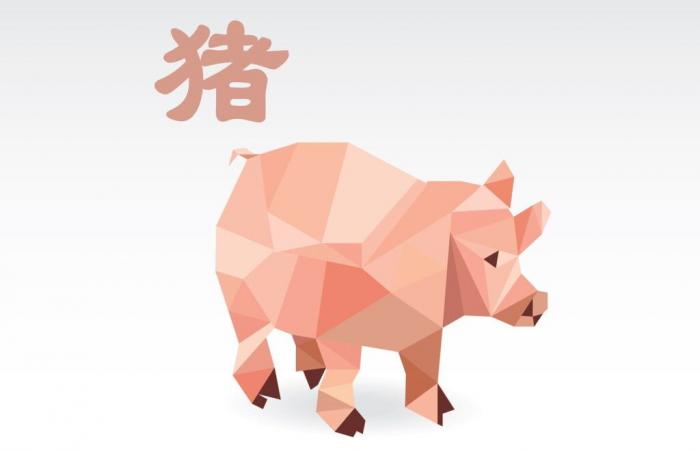 Pig horoscope of the day