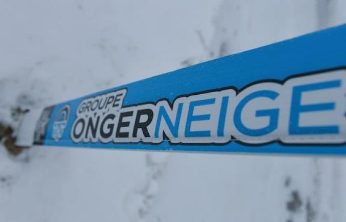 The Ongerneige group under the protection of its creditors