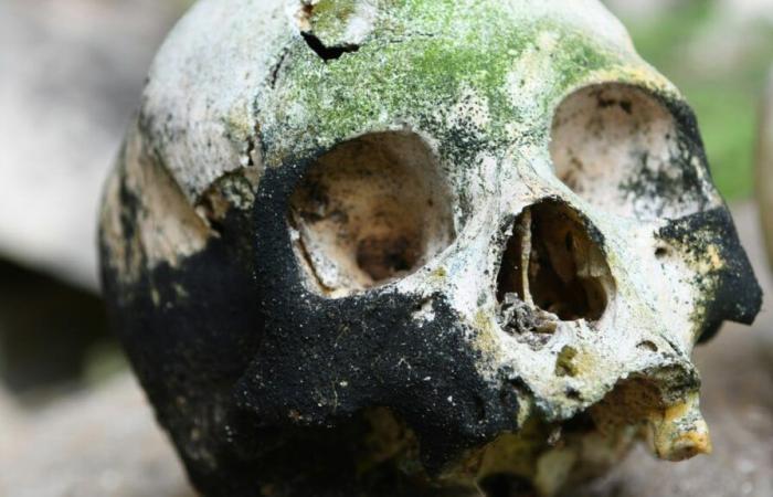 Macabre discovery: Bronze Age Britons engaged in cannibalism