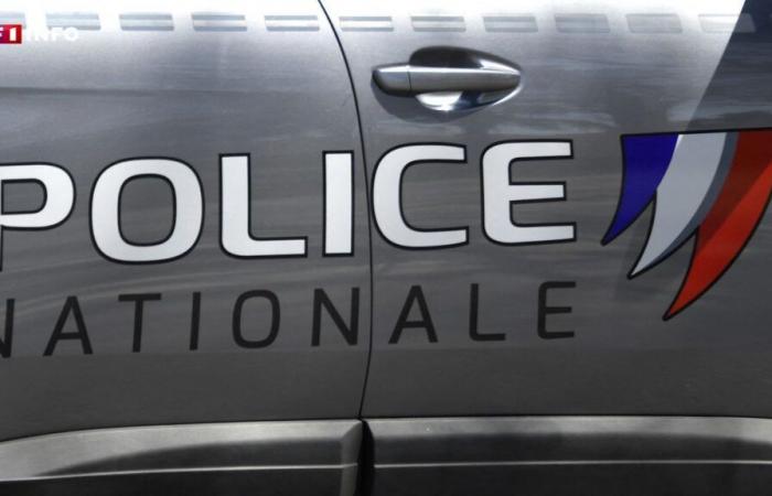 15-year-old teenager killed in Haute-Vienne: Inès stabbed around forty times for her phone