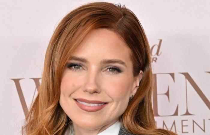 Actress Sophia Bush robbed while sleeping in her home