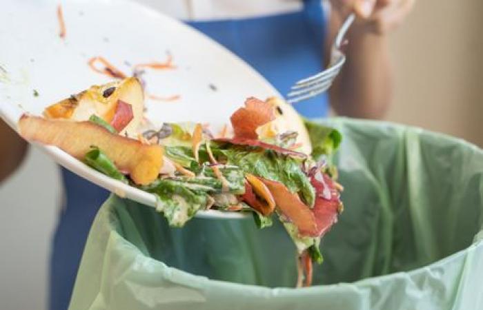 Japan plans to reduce food waste by 60% by 2030