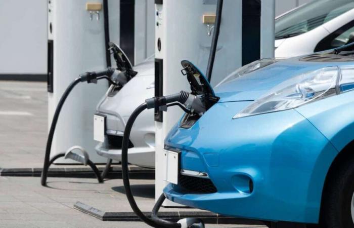 Subsidy for the purchase of electric vehicles: Quebec has no more money and will suspend its program