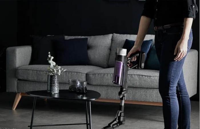 Here's where to find this Rowenta cordless vacuum cleaner at the best price!