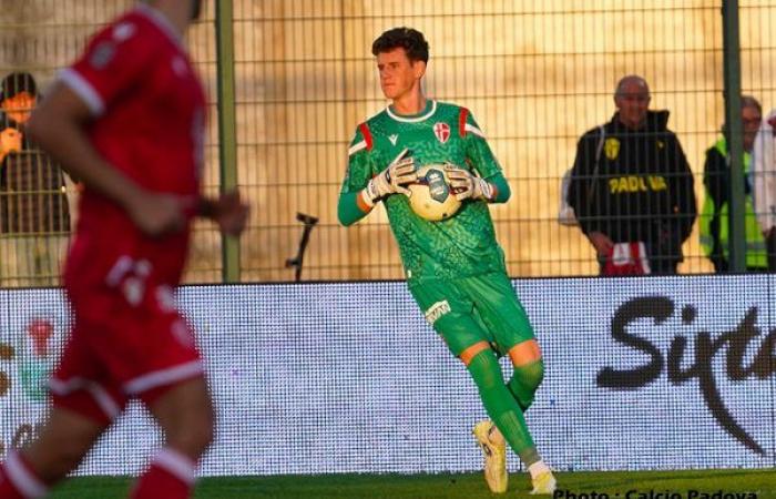 RC Lens interested in the Padua goalkeeper?