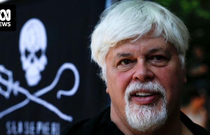 Sea Shepherd’s Paul Watson released from detention in Greenland, avoids extradition to Japan