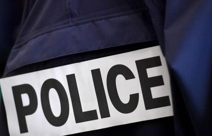 Four Parisian police officers will be tried for violence against an arrested man