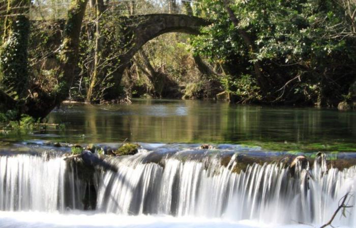 Maintenance and conservation actions for the Belelle River (Neda – Galicia) in the event of possible flooding