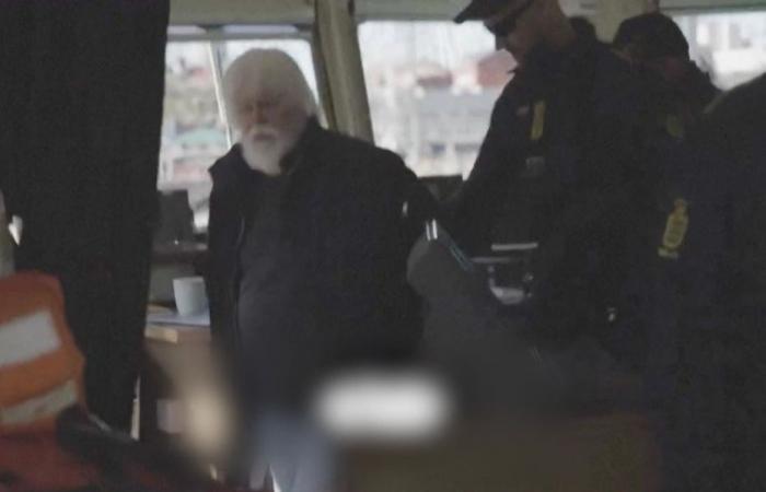 Paul Watson released. “I had prepared for the worst”, the founder of Sea Shepherd will return to France “as soon as possible”