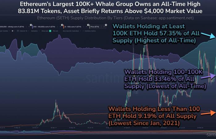 Ethereum at $4,000: whales seize 57% of ETH to the detriment of small investors