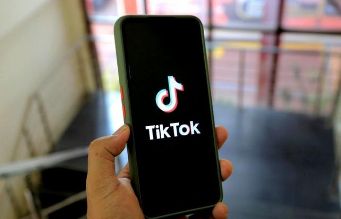 TikTok, Meta, X and YouTube: greenhouse gas emissions scrutinized by Greenly