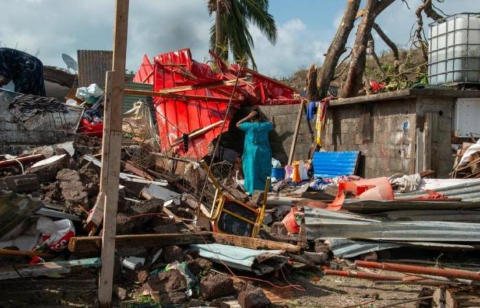 in Petite-Terre, with the energy of despair, the inhabitants are already busy rebuilding