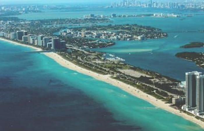 Florida: 7 free activities to do in Miami