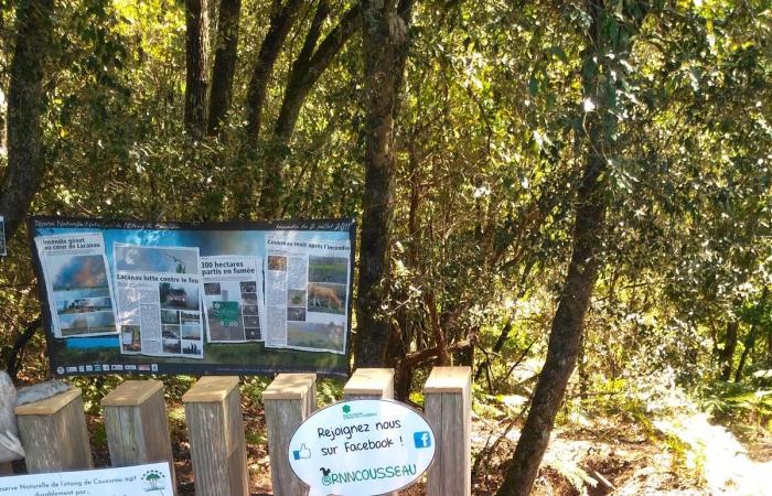 François Sargos, the curator who transformed the Cousseau national reserve in Lacanau retires