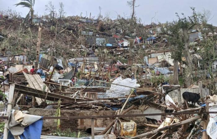 Solidarity is organized in Mayotte, devastated by Cyclone Chido