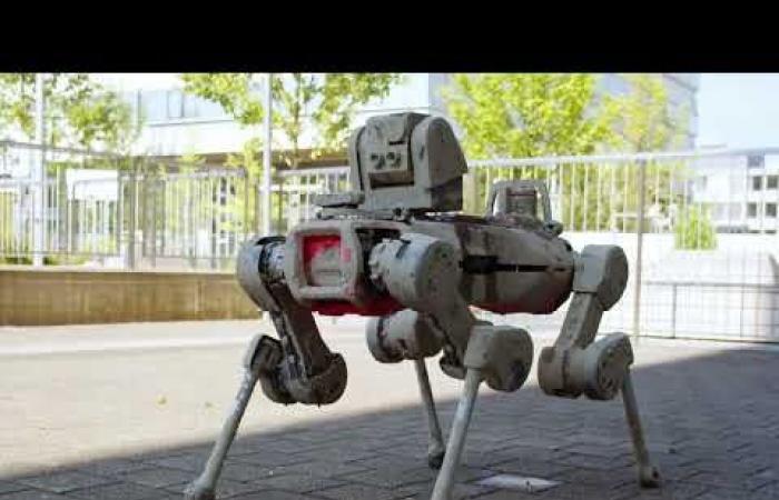 a robot dog that excels in industrial missions