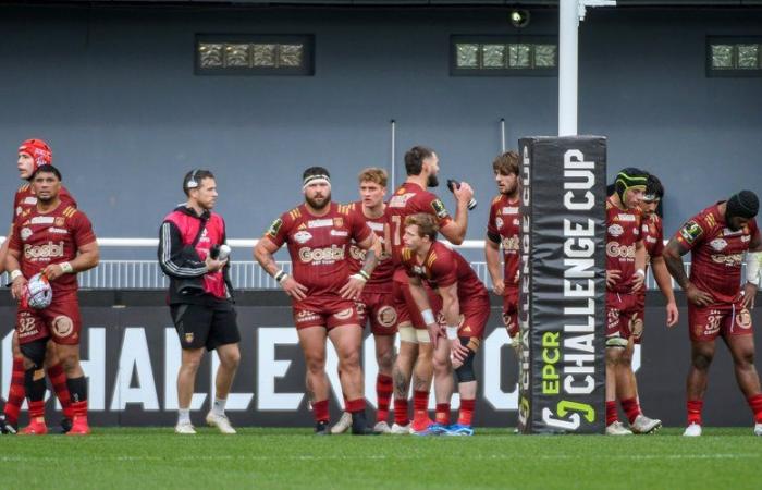 Rugby – Challenge Cup: after having known how to exist in Europe, the USAP quickly switched to the Top 14 and its trip to the Stade Français