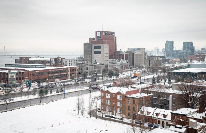 Musicians fear the Quartier Molson megaproject: what future for Cité 2000?