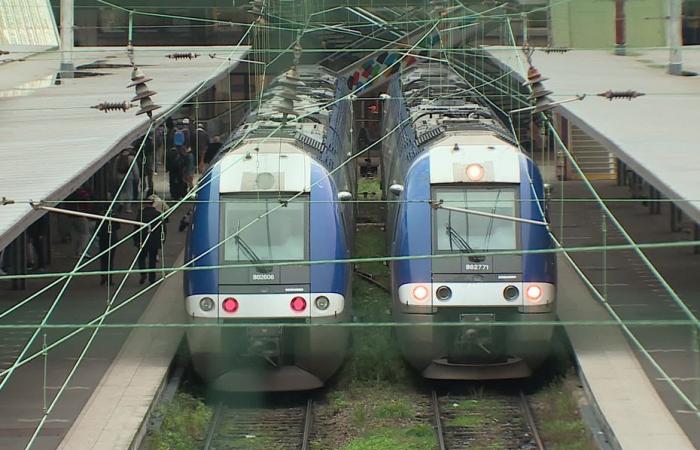 SNCF unions in Amiens protest against the privatization of TER lines