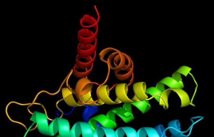 Scientists discover key protein that helps cancer cells escape CAR T cell therapy