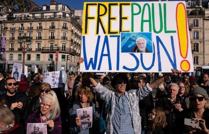 Anti-whaling activist Paul Watson freed from custody and will not face extradition to Japan | World News