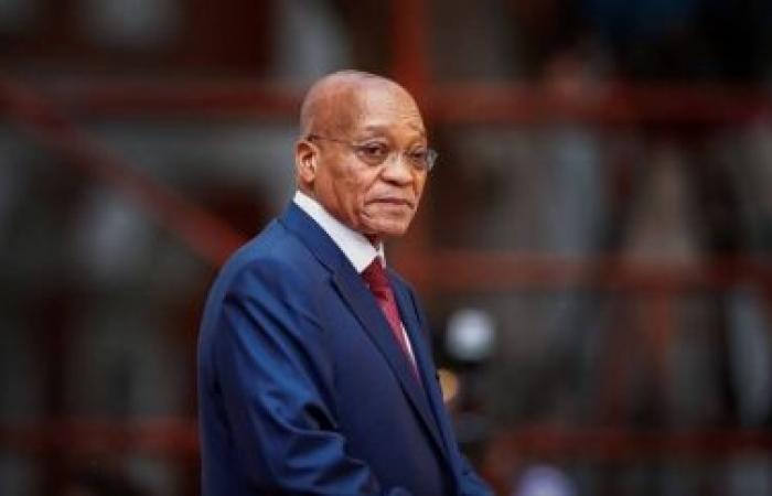 South Africa: Zuma calls for unity of black parties to regain power