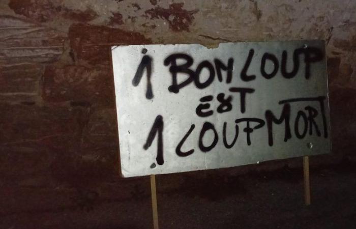 “A good wolf is a dead wolf”: two political figures from South Aveyron targeted at their home by a sign